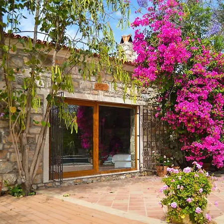 Mandarin By Important Group Travel וילה *