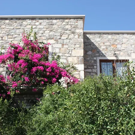 Mandarin By Important Group Travel ביטז