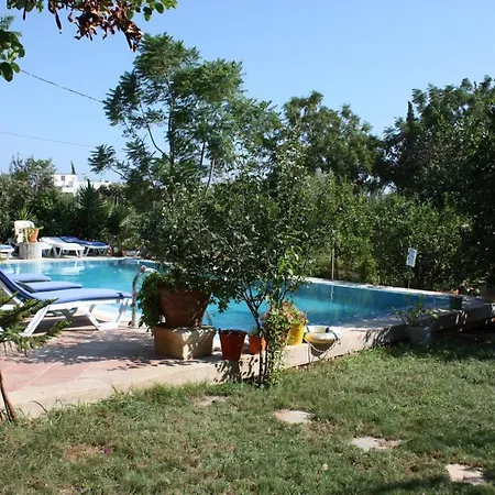 Mandarin By Important Group Travel * ביטז