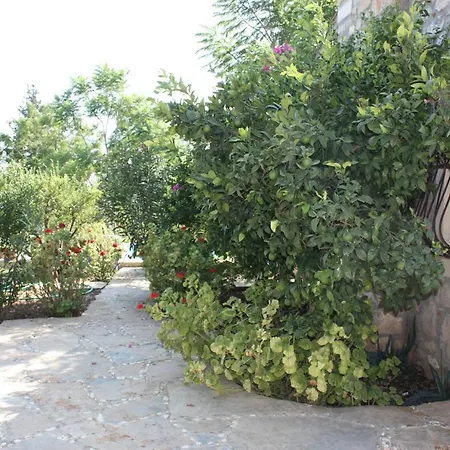 Mandarin By Important Group Travel *