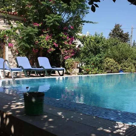 Mandarin By Important Group Travel ביטז