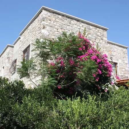 וילה Mandarin By Important Group Travel *