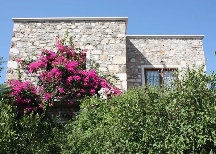 Mandarin By Important Group Travel Bitez