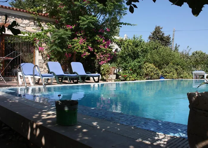 Mandarin By Important Group Travel Bitez