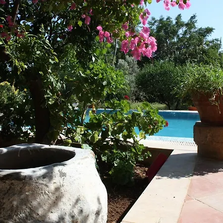 Mandarin By Important Group Travel