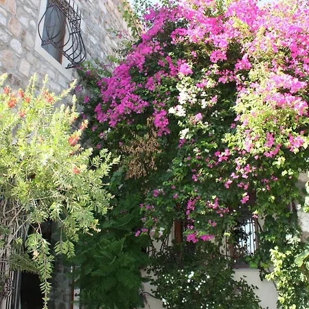 Mandarin By Important Group Travel