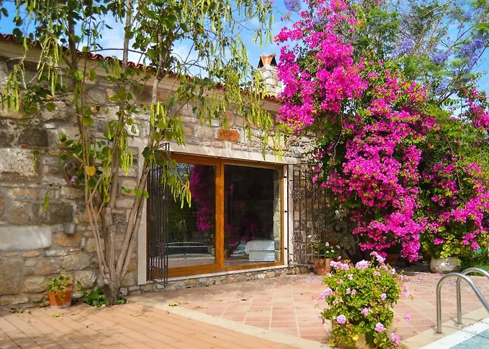 Mandarin By Important Group Travel Villa *