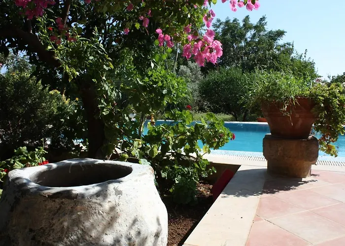 Mandarin By Important Group Travel