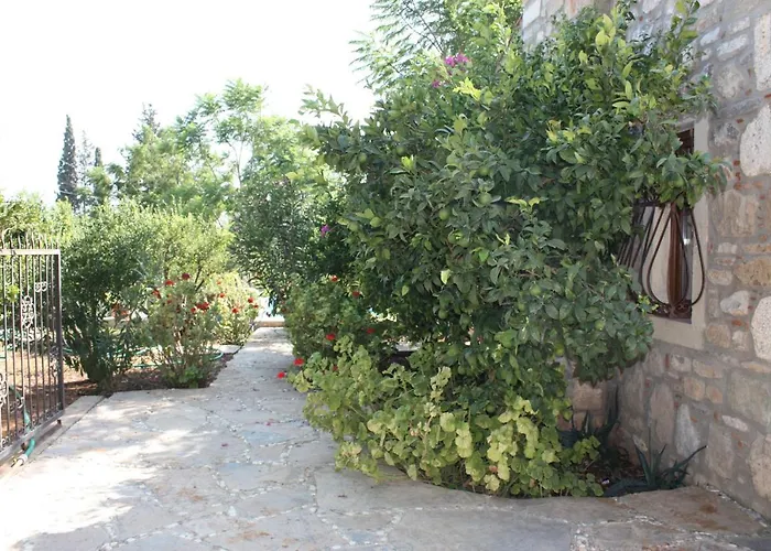 Mandarin By Important Group Travel *