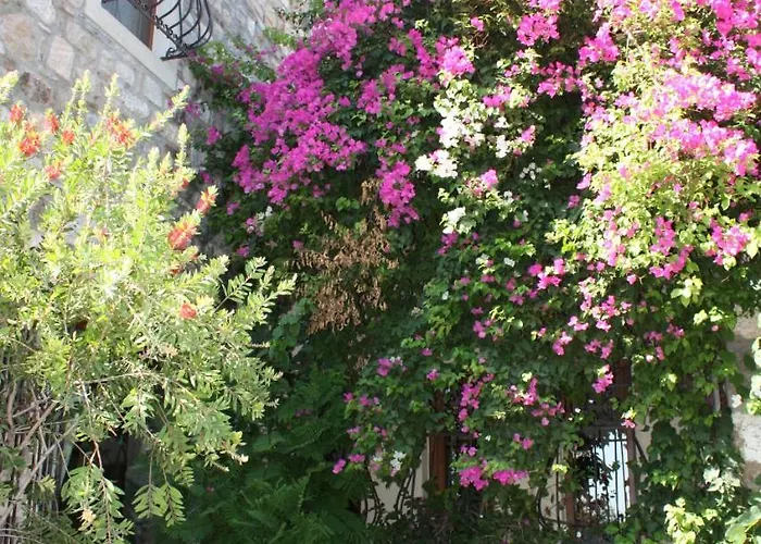 Mandarin By Important Group Travel