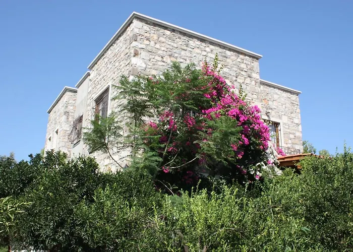 Villa Mandarin By Important Group Travel *